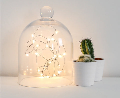 Image of LED Seed Lights 2 Meters Multi-Colour