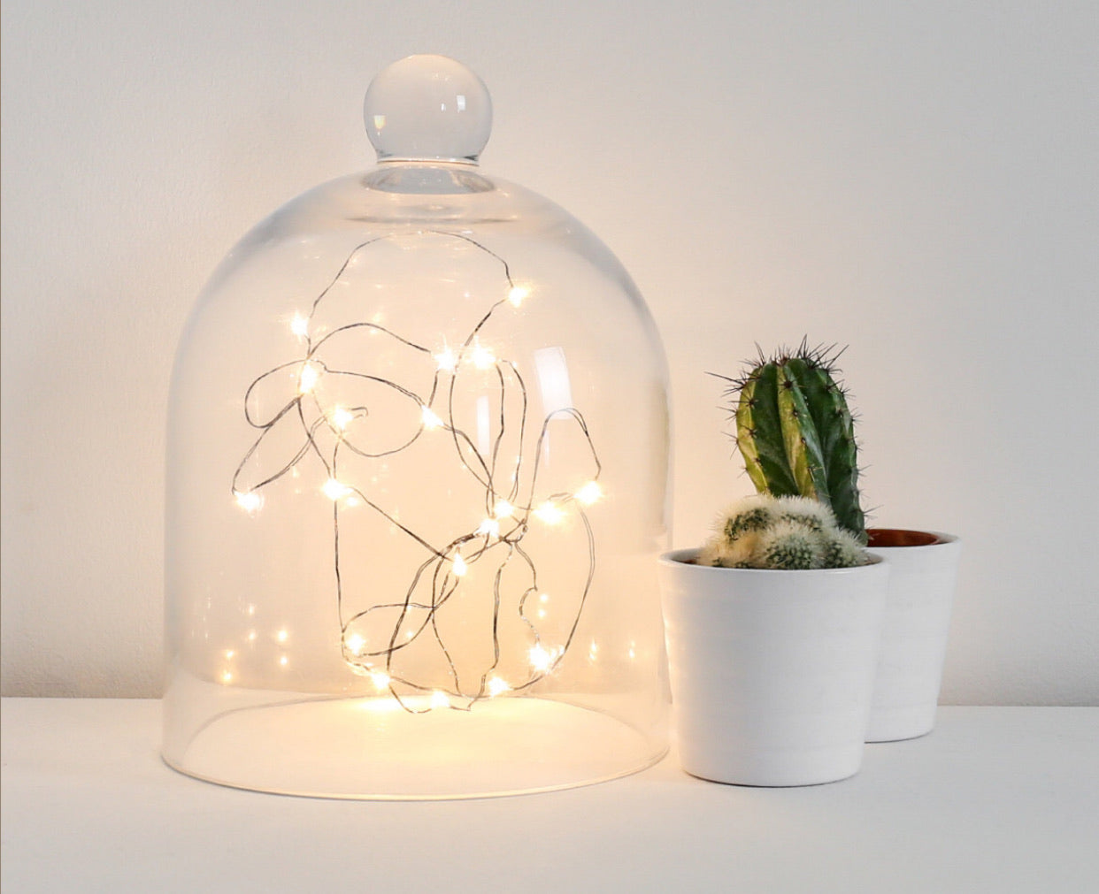 LED Seed Light 1 Meter Multi-Colour Flashing