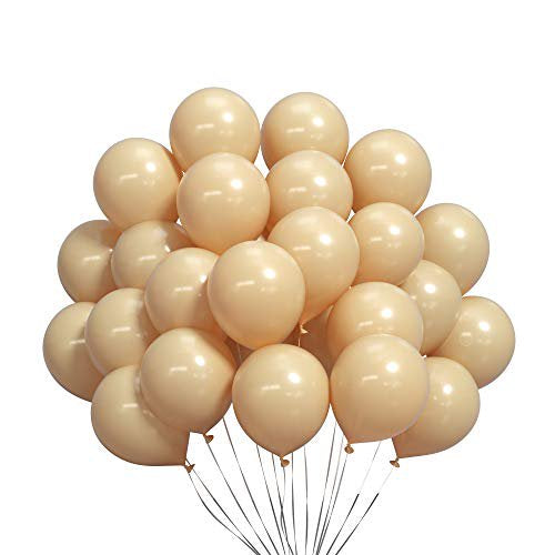 Standard Nude Blush Colour Balloon 10” 15pc