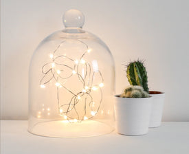 LED Seed Light 5 Meters Warm White