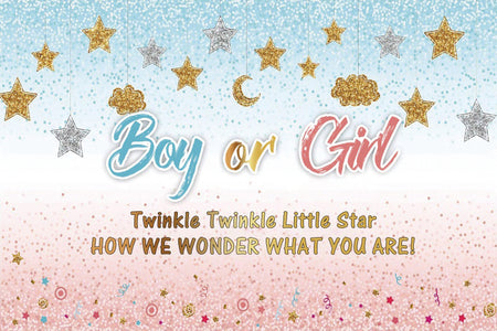 Gender Reveal Backdrop - Twinkle Twinkle Little Star